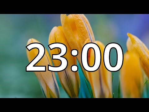23 Minutes Timer with Music | Spring Timer