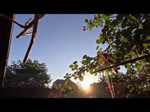 SUNRISE - TIMELAPSE