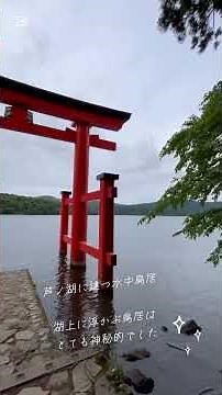 関東屈指のパワースポット箱根神社、九頭龍神社本宮、箱根元宮を巡る箱根三社参り#箱根神社 #パワースポット#パワースポット神社