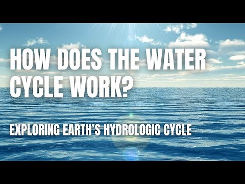 The Water Cycle: Earth's Endless Journey | The Hydrologic Cycle Explained