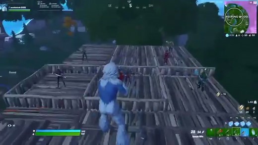 Wolf Character Battles in Virtual Fort Environment