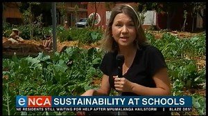 21K views · 109 reactions | A small scale farming project in Cape Town is taking hold. Three schools in the Southern Peninsula grow their own organic vegetables. And students are now reaping the rewards of their hard work. The Neighbourhood Farms project is an initiative, of presenter and chef, Justin Bonello. eNCA’s Nadine Theron has more. Courtesy #DStv403 | eNCAnews | Facebook