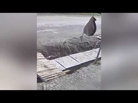 Funny 🤣 moment wait for end/√\\{"simpleText":"Sign in"}{"simpleText":"Sign in"}{"runs":[{"text":"Save"}]}Want to watch this again later?Editor 123{"runs":[{"text":"Unsubscribe"}]}Editor 123?Editor 123?{"runs":[{"text":"Comments are turned off. "Learn more12:38{"content":"AZ-FunZone"}{"content":"13K views"}{"content":"1 month ago"}29:39{"content":"BRAIN TIME","styleRuns":[{"startIndex":10,"styleRunExtensions":{"styleRunColorMapExtension":{"colorMap":[{"key":"USER_INTERFACE_THEME_DARK","value":42