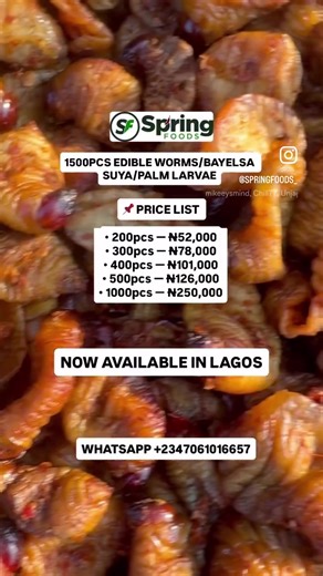 5 PACKS OF 200 PIECES EDIBLE WORM NOW AVAILABLE IN LAGOS 🔥 💃💃💃💃 Secure yours now before it sold out 📌 NEW PRICE LIST – BAYELSA SUYA / EDIBLE WORM • 200pcs — ₦52,000 • 300pcs — ₦78,000 • 400pcs — ₦101,000 • 500pcs — ₦126,000 • 1000pcs — ₦250,000 ⏳ Available for delivery tomorrow 📩 Send a DM now to place your order 📞 Call/WhatsApp: 234 706 101 6657 📍 Location: Yenagoa, Bayelsa State 🚚 Nationwide delivery available Always your trusted plug 🔌 The Digital Seafood Business Woman 👩🏽‍💼 Fro