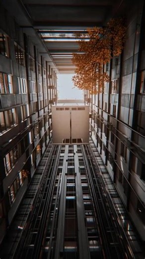 Why Elevators Almost Never Fall? | #viral #shorts #trending #facts