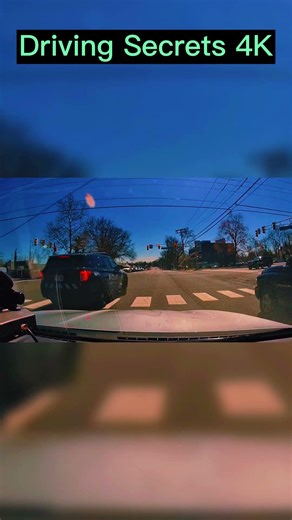 INSANE Insurance Scam FAIL! 👮‍♂️ Instant Karma! #shorts #usa