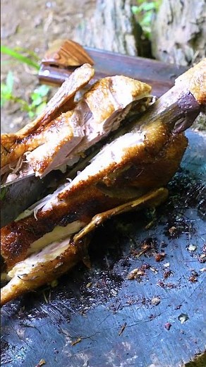 Peaceful Cooking in the Woods – 12 No Talking, Only Nature