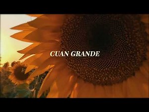 Ingrid Rosario - Perfecto Amor (Lyric Oficial)