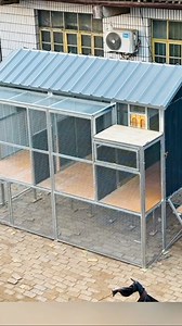 Beautiful medium size loft making video shortcuts #reelsvideoシ #petsafety #racingpigeons | Amazing Loft