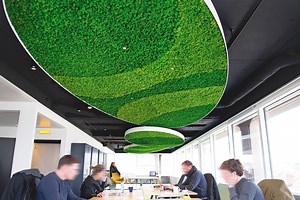 32 reactions | Greenmood designs and creates green walls, screens, furniture and various other design and architectural products featuring a variety of 100% natural preserved plants. Their main feature is that, unlike living green walls, they require no maintenance thanks to the preservation process. Presented in partnership with Greenmood | Interior Design Magazine | Facebook