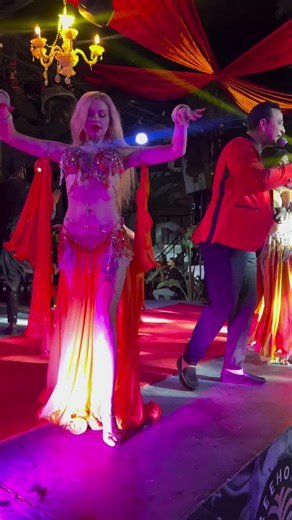 TREE HOUSS sur TikTok