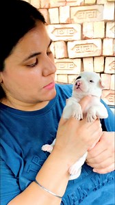 aww ek to cute aur dard me is bichare ke maa iske upar baith gayee feeding karate hue pain me hai dard bata rahee hai pyaar se isko vet ko dikhaya she is fine now babaji sab ka bhala karna aap please keep supporting us and give blessings to us #puppy #puppies #puppylove #puppylovers #puppylife #dogmother #dogmom #dog #dogs #dogfood #doglife #doglover #doglovers #streetdogs #streetdogsofindia #supportus #blessings #love #reels #viral #instareels #insta #instagram #fbreelsfypシ゚ #fb #fbreelsfypシ゚vi