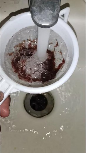 How to feed Frozen Bloodworms to fishes | Live food for aquarium fish | Aquarium Bloodworms