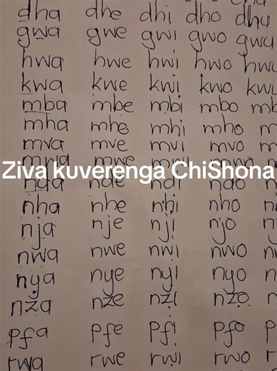 Shona Reading Lesson for Grade 1 Learners