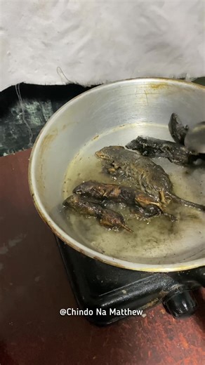 Zambian 🇿🇲 food 🐀 is ready 🥰 #fyp #2026 #football #yummy #recipe