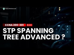 STP - Spanning Tree Protocol Made Easy | Networking Basics 2025 ( Hindi)