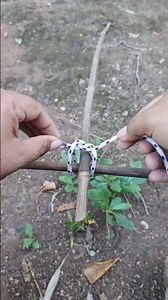 "The Farmer’s Favorite Knot – Simple, Strong & Surprisingly Useful!" #knot #shorts #diy