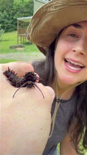 Channeling my Inner Steve Irwin 🤠 Nature Break with Mandy & Swallowtail 🐛