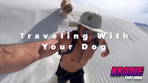 Traveling with your dog | White Sands National Park | Dog vlog #4
