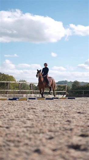 45K views · 760 reactions | Winnie’s final 2025 training session ...