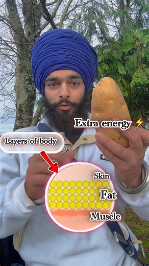 Arshdeep Singh on Instagram: "Fat is survival energy ⚡️— until you overdo it. Our body never wastes energy. Extra food is stored as fat — that’s survival. Fat becomes a problem only when it’s stored too much. Eat more than you burn, it adds up. Eat less than you burn, the body uses stored fat. Weight gain or fat loss isn’t about extremes, it’s about balance and consistency. #WeightLoss #WeightGain #FatLoss #BodyFat #Calories NutritionScience"