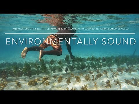 Environmentally,sustainable seaweed farming in the Solomon Islands by local villagers