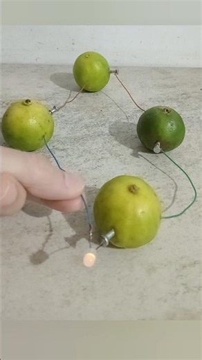 😱🍋 I lit a light bulb with lemons 💡⚡