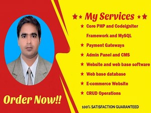 Full stack codeigniter and custom website developer