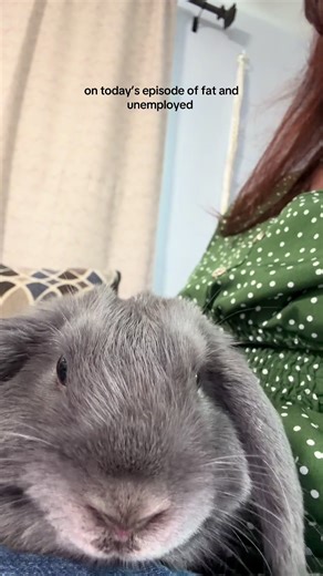 Bluey is #opentowork #cutebunny #bunnytok #fyp
