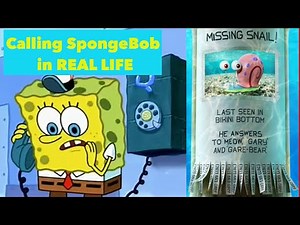 What Happens When You Call SpongeBob? Where's Gary Real Number
