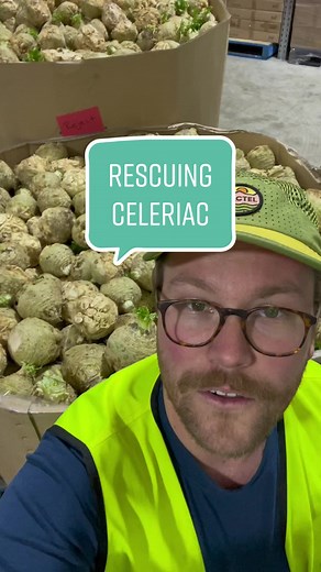 Help us fight food waste by ordering a box of interesting fruit and veggies from farmerspick.com.au 🥑🍏🫑 rescuing celeriac rejected by the big supermarkets for being too small #farmerspick #fightfoodwaste #foodwaste #celeriac