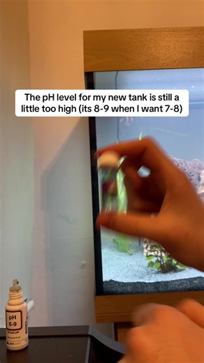 Hoping that in 24-48 hours, the water will be ready for fish🐠 #aquariumtok #newfishtank #phlevel #watertest #freshwaterfishtank