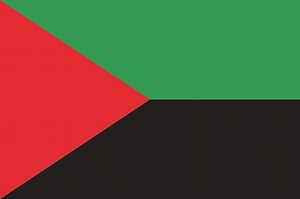 Martinique flag. Standard size. The official ratio. A rectangular...