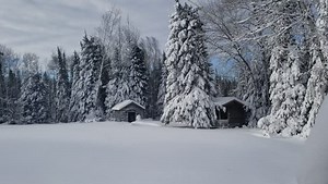 Chocolate Lab Plays in Fluffy Snow, Thunder Bay, Ontario, Canada - 24 Dec 2020