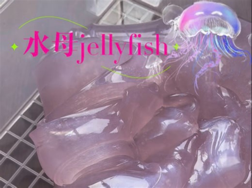 slime水母jellyfish QQ弹弹果冻质地，但是貌似还有点厚实，这是一个漂亮姆姆