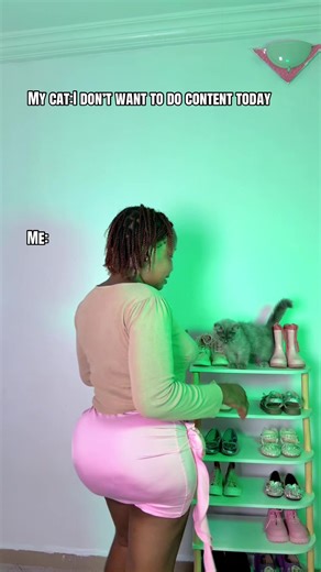 Erima Body Enhancement: Creative Cat Content Ideas