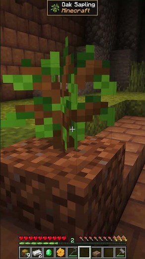 Some "Quests" Are Repeatable