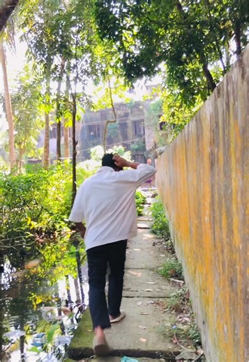 Exploring Funny Realities in Modern Life