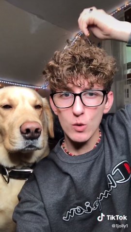 Innovative Head Scratcher for Pets | Simmonds Family Dog Park