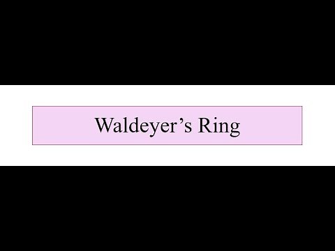 Waldeyer's Ring