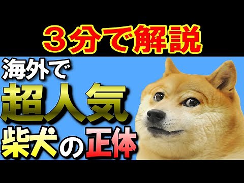 【3分でわかる】世界一有名な犬のミーム”Doge”とは【海外ミーム解説㉚】