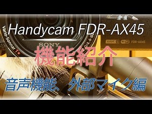 【Handycam】FDR-AX45 レビュー(音声機能、外部マイク)【SONY】