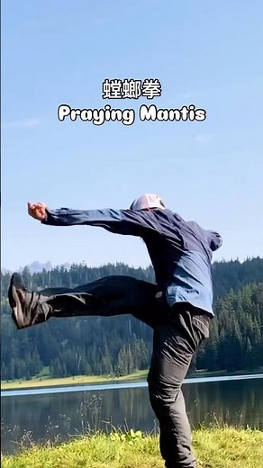 Praying mantis #wushu #kungfu #shaolin #武术 #功夫 #太极 #martialarts #prayingmantis