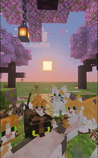 I put 12 real cat breeds into Minecraft #minecraft #cats #cozygaming #minecraftmods