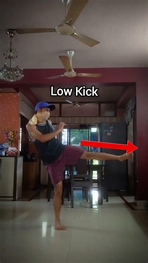 Scott Adkin's Kick Combo..