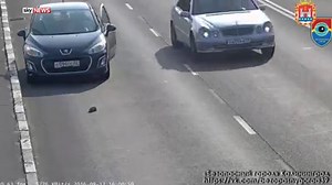 802K views · 4.3K shares | A kitten narrowly avoided being hit by cars on a busy Russian motorway after falling from an SUV | Sky News | Facebook