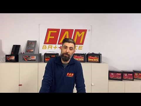 Caricabatterie auto