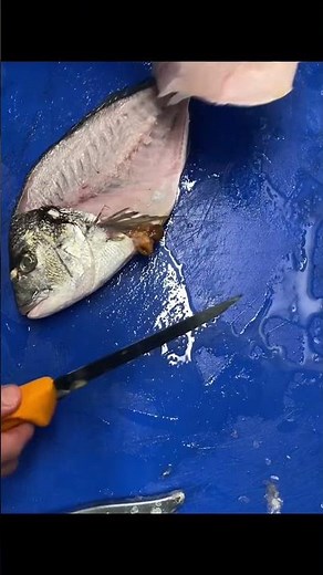 Quick & Easy Way To Scale & Fillet Gilthead Bream