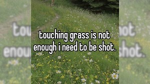Touching Grass Is Not Enough | Know Your Meme