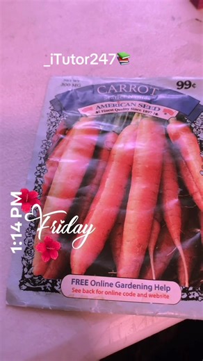 DJ SheBeats (@djshebeats)’s videos with original sound - DJ SheBeats